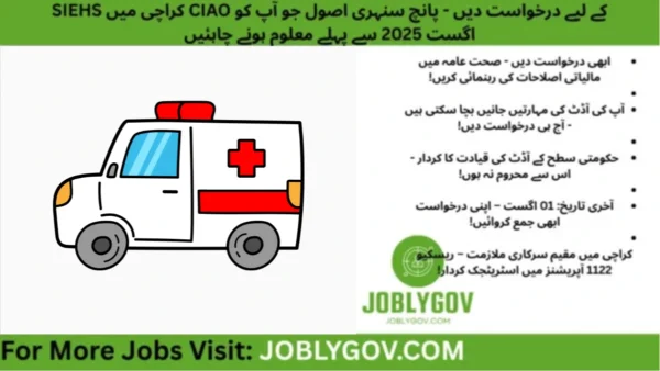 Apply for Chief Internal Audit Officer (CIAO) job at SIEHS Karachi 2025 – A senior government audit position in public healthcare.