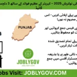CUVAS Visiting Faculty Jobs 2025 – Professors and Lecturers Required in Bahawalpur