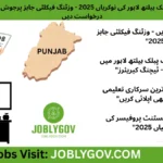 Institute of Public Health Lahore Visiting Faculty Jobs 2025 for teaching and education careers