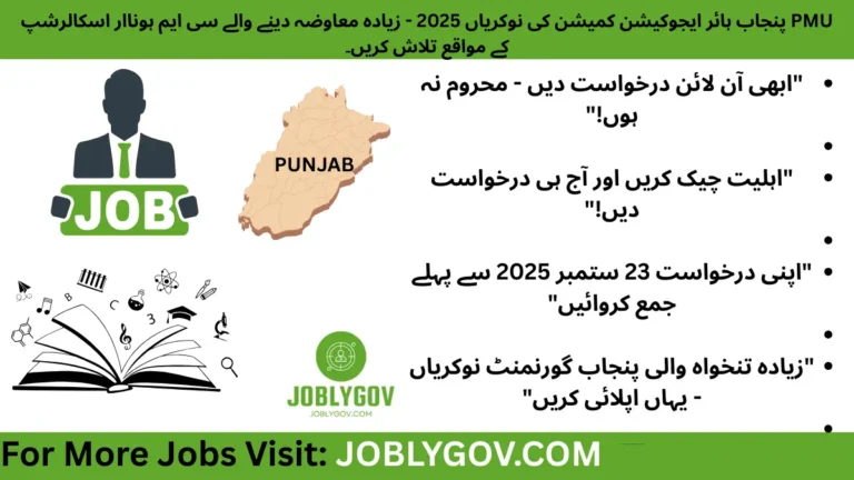 Punjab Higher Education Commission Jobs 2025 ā CM Honhaar Scholarship PMU Project-Based Vacancies