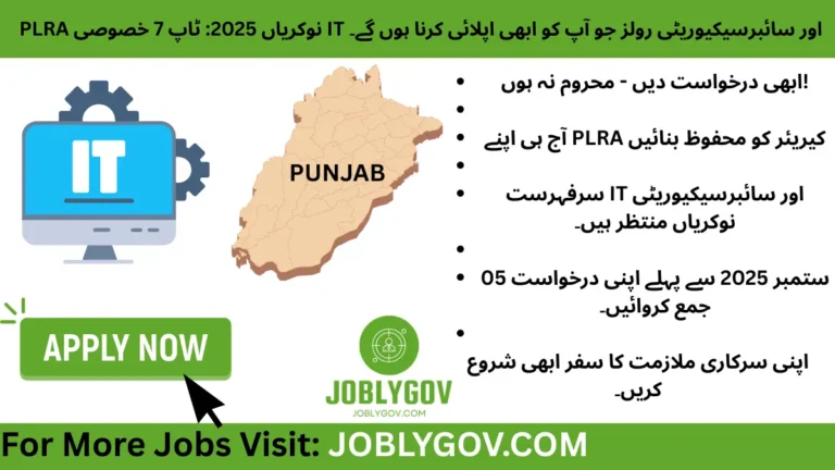 Punjab Land Records Authority Jobs 2025 – Apply for top IT and cybersecurity government positions in Punjab
