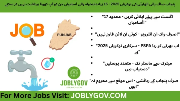 Punjab Saaf Pani Authority PSPA Jobs 2025 advertisement for multiple government vacancies in Punjab