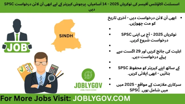 Sindh Public Service Commission SPSC Assistant Accounts Officer Jobs 2025 – Online Application Guide