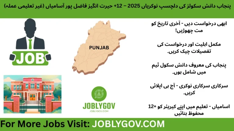 Punjab Daanish Schools Jobs 2025 – Apply for 12+ Non-Academic Staff Vacancies in Fazilpur, Rajanpur